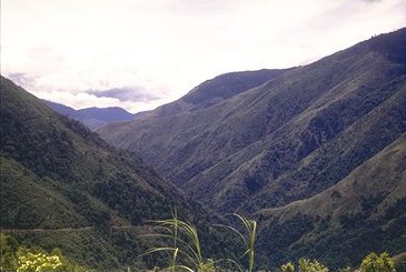 The scenery near Tapini