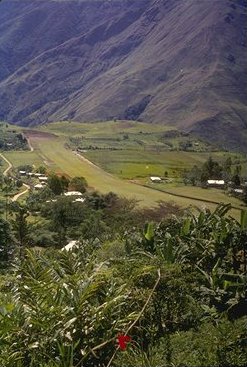 Tapini airstrip, yes it does run up hill to a hill and the end 
you see near the top does drop down a sheer cliff.